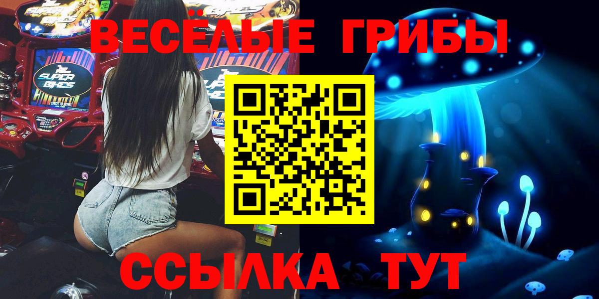 Осинники  Псилоцибиновые грибы мицелий  Вход с VPN 