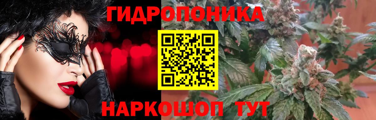 Каннабис SATIVA & INDICA Осинники